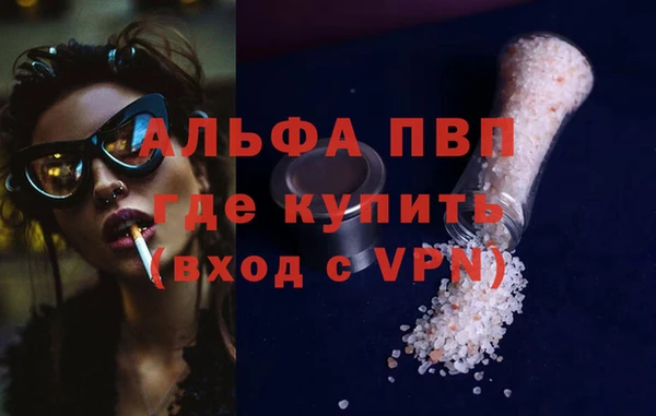 гашик Белокуриха